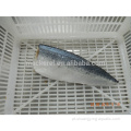 Exportação chinesa congelada peixe cavala faixas congeladas